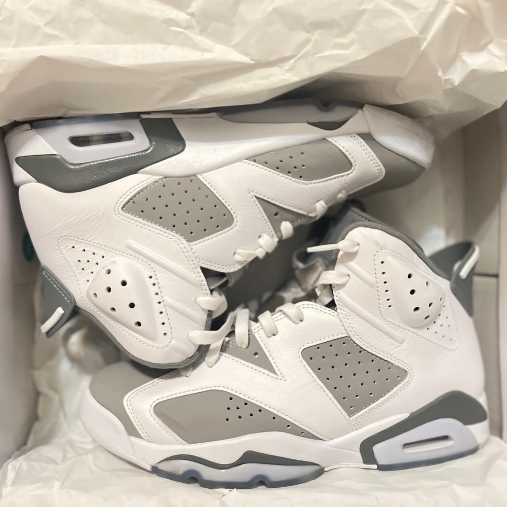 Cool Grey Jordan 6s